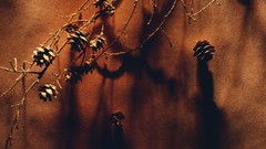 Cones minimalistic rusty color