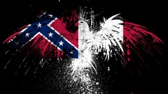 Confederate battle flag ftfy