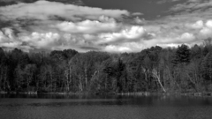 Consider it an insult