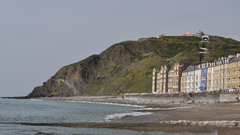 Consti enjoy Your urban