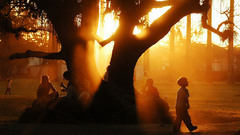 Contributing again god guys!