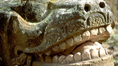 Cop honduras sry eating