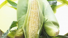 Corn