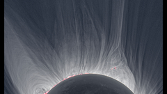 Corona druckmuller big ty