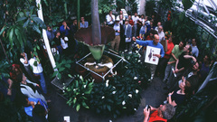 Corpse flower visitors high