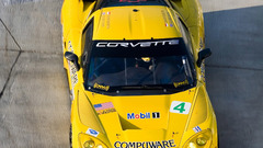 Corvette American Le mans