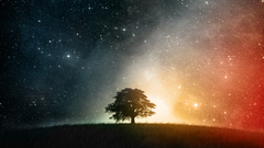 Cosmosition any netbook Size