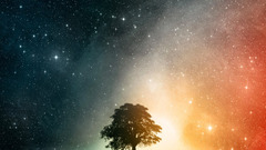 Cosmox need total ball