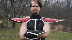 Cosplay costume Saiyans Dragon