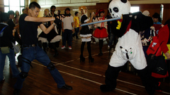 Cosplay WTF funny panda