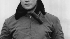 Coulda had been contender