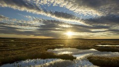 Country dawn flow Scotland Sutherland