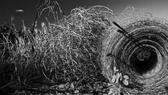 Country material digital art Thresh