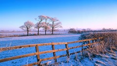 Countryside frosty