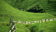 Countryside high murano Vigo Resolution fassa