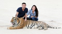 Couple Megan Fox Tigers Brian Austin Green