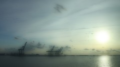 Cranes port harbours