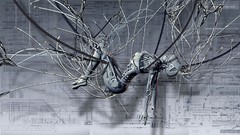 Creation cyborgs cyber digital art cyber girls