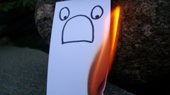 Creative could You high sany honest awnser