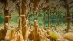 Creek Arizona Earth national geographic fossil