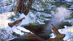 Creek snow Birds paintings grouse