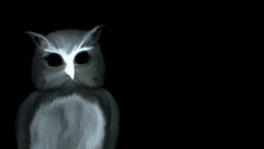 Creepy dark scary Owls