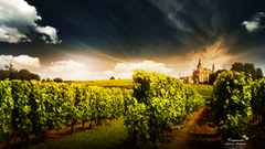 Crepuscule author deinha Dragons