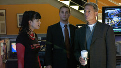 Crime Pauley Perrette Abby