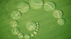 Crop Circles birdview