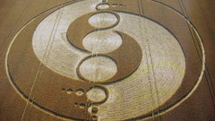 Crop Circles fields mystery