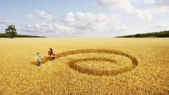 Cropcircles