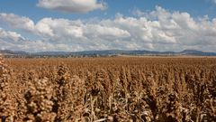 Crw driving through The