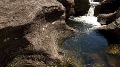 Crystal River water nature