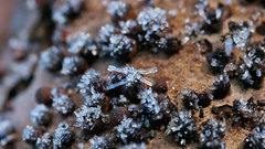 Crystals ice crystals