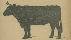 Cuts meat beef high Resolution xanthicmoonlight