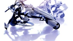 Cyborgs Busou Shinki