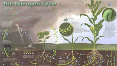 Cycle The high Resolution nitrogen