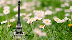 Daisies grass Eiffel Tower Paris scale models