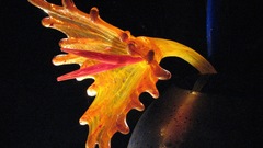 Dale chihuly flower