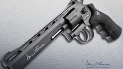 Dan Dan Wesson Firearms