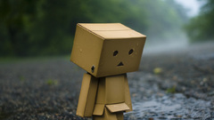Danboard