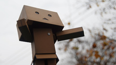 Danboard