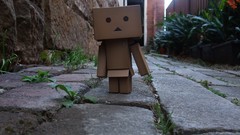 Danboard