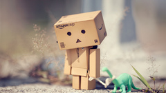Danboard amazon
