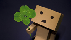 Danboard clover
