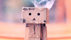 Danboard in the rain