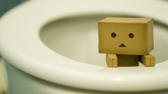 Danboard toilets