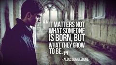 Daniel Radcliffe harry potter Quotes Albus Dumbledore