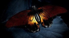 Dark Butterflies Biutiful (movie)