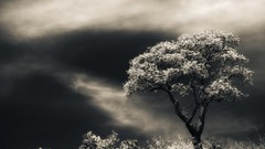 Dark chrome skyscapes Chrome OS Mario Moreno